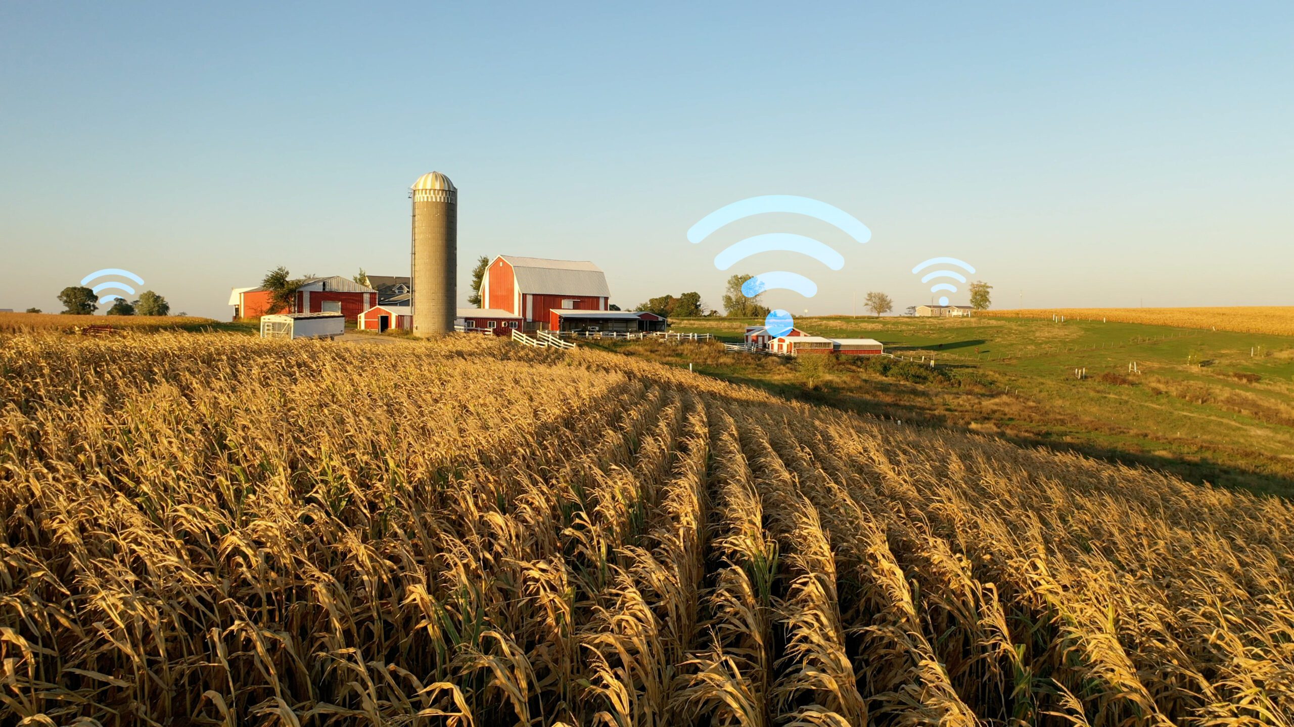 BlueAlly and Infinera deliver broadband to rural America