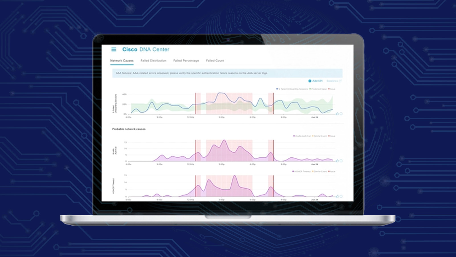 Blueally insights resources